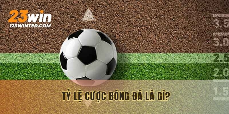 Khám phá chung về tỷ lệ cược bóng đá